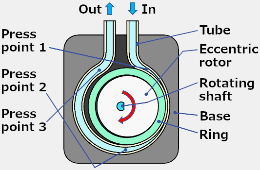 Structure of the Ring Pump